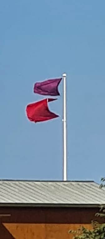 Drapeaux rouge + violet