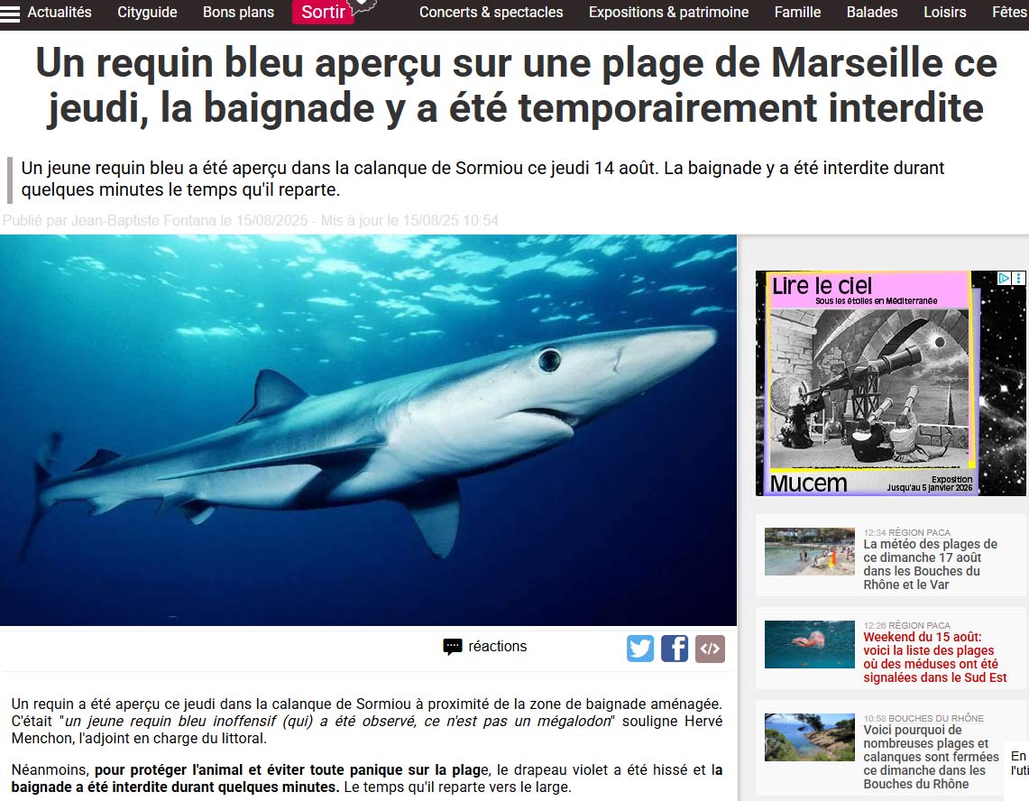Fréquence Sud : un requin à Sormiou