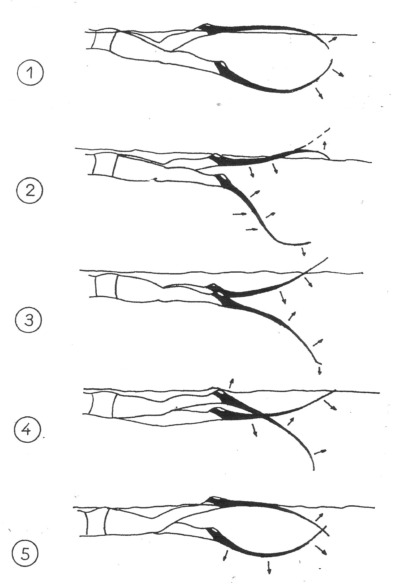 Travail des jambes - nage avec palmes
